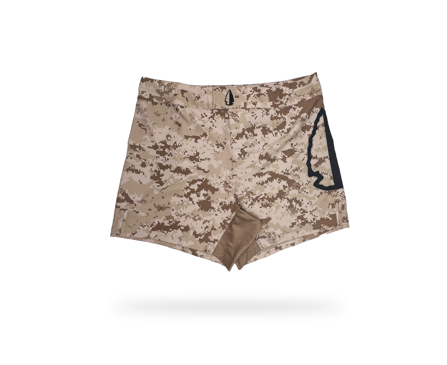 Fight Shorts - AOR1